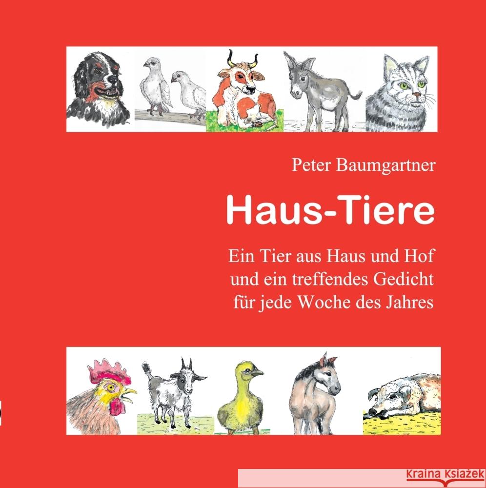 Haus-Tiere - Ein Geschenkbuch für Jung und Alt Baumgartner, Peter 9783347990982