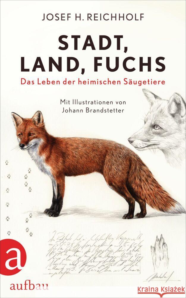 Stadt, Land, Fuchs Reichholf, Josef H. 9783351038564 Aufbau-Verlag