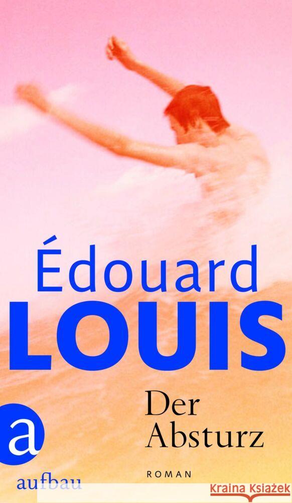 Der Absturz Louis, Édouard 9783351039578