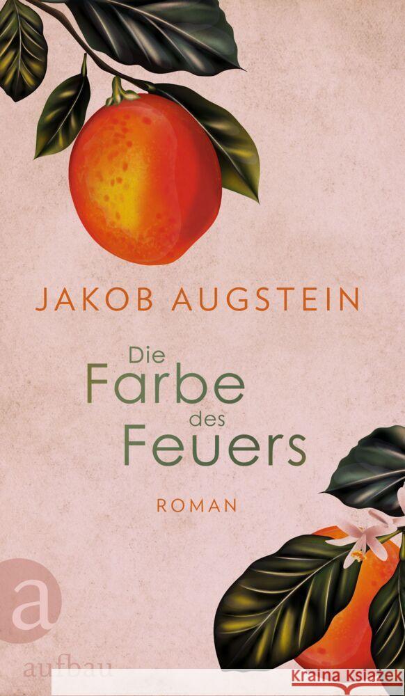 Die Farbe des Feuers Augstein, Jakob 9783351042233 Aufbau-Verlag