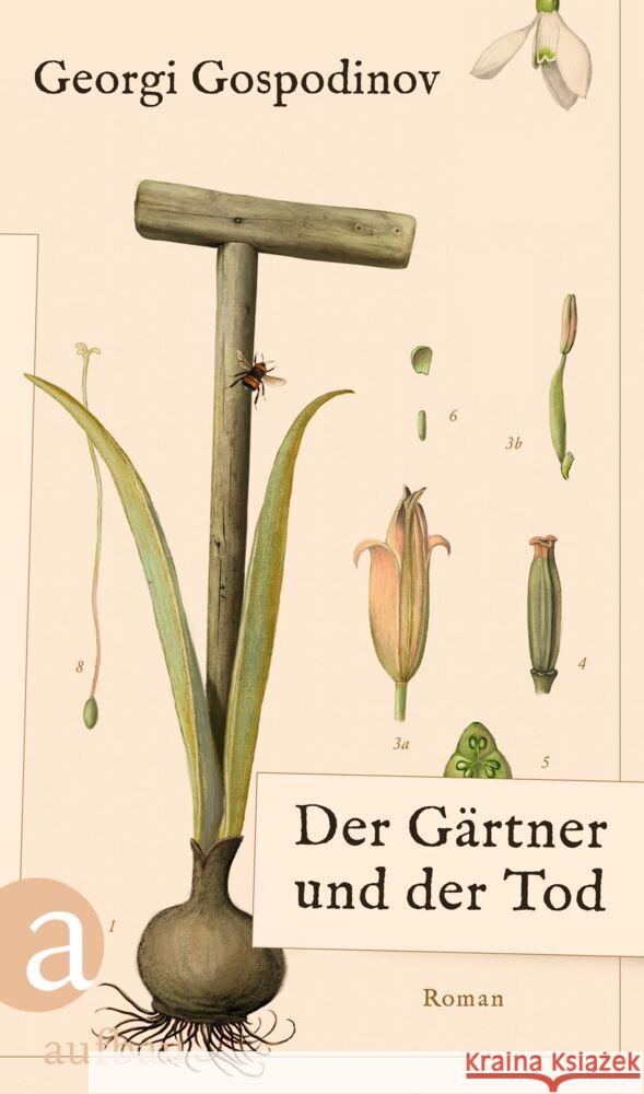 Der Gärtner und der Tod Gospodinov, Georgi 9783351042615