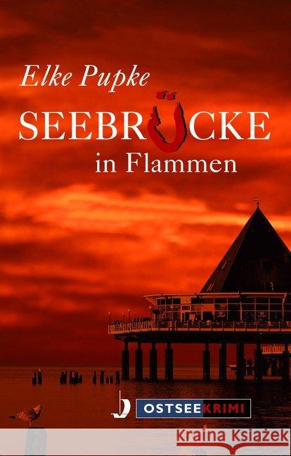 Seebrücke in Flammen : Ostsee-Krimi Pupke, Elke 9783356020915