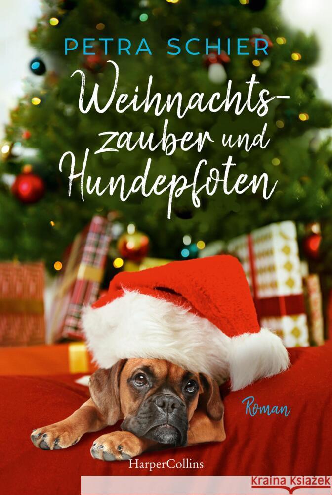 Weihnachtszauber und Hundepfoten Schier, Petra 9783365004357