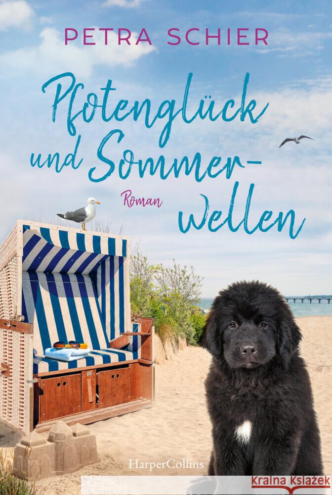 Pfotenglück und Sommerwellen Schier, Petra 9783365006115