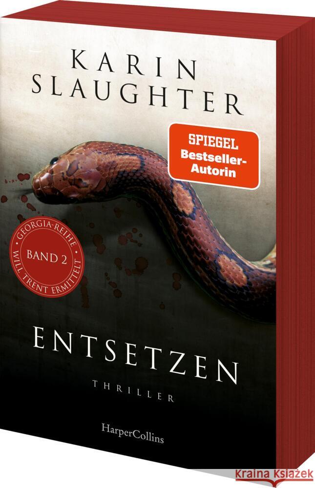 Entsetzen Slaughter, Karin 9783365008386 HarperCollins Taschenbuch