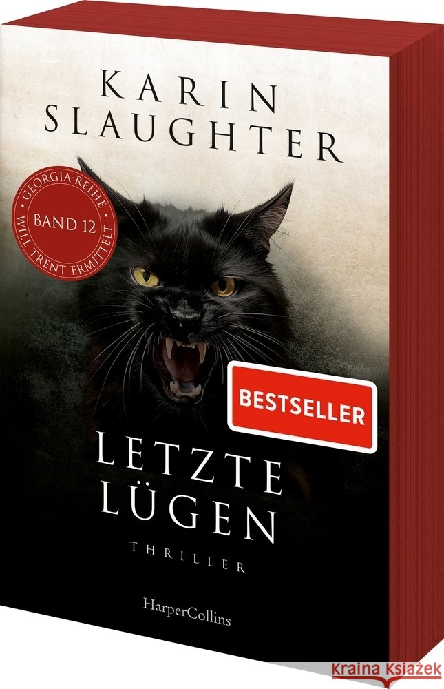 Letzte Lügen Slaughter, Karin 9783365011133