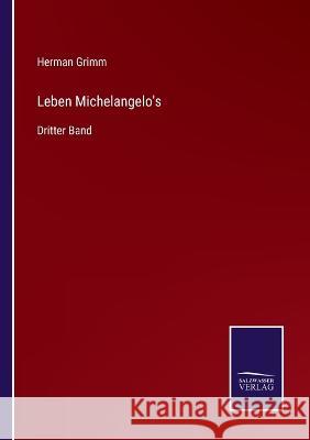 Leben Michelangelo's: Dritter Band Herman Grimm 9783375062187 Salzwasser-Verlag