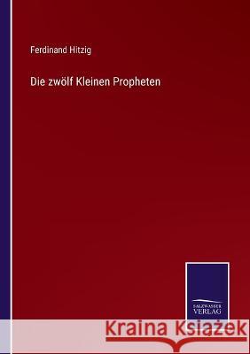 Die zwölf Kleinen Propheten Ferdinand Hitzig 9783375070601 Salzwasser-Verlag