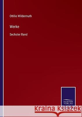 Werke: Sechster Band Ottilie Wildermuth 9783375080624 Salzwasser-Verlag