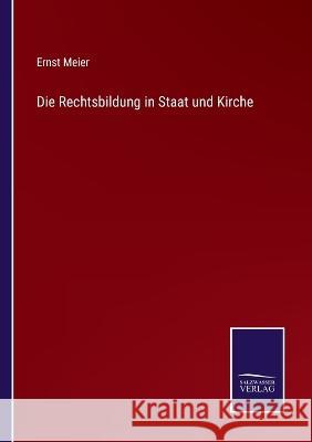 Die Rechtsbildung in Staat und Kirche Ernst Meier 9783375085988 Salzwasser-Verlag