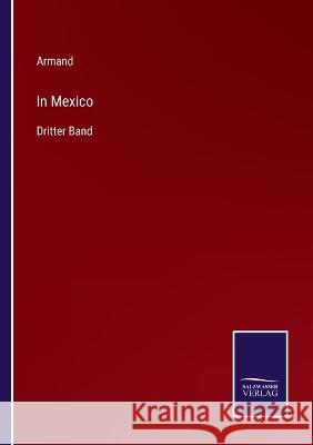 In Mexico: Dritter Band Armand 9783375093884