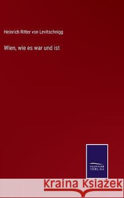 Wien, wie es war und ist Heinrich Ritter Von Levitschnigg 9783375112691 Salzwasser-Verlag