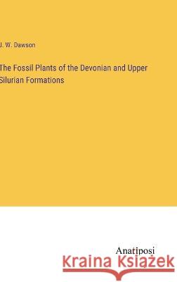 The Fossil Plants of the Devonian and Upper Silurian Formations J W Dawson   9783382142193 Anatiposi Verlag