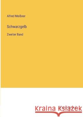 Schwarzgelb: Zweiter Band Alfred Mei?ner 9783382201029 Anatiposi Verlag