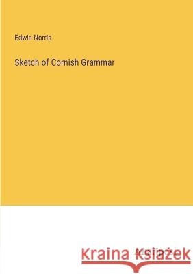 Sketch of Cornish Grammar Edwin Norris   9783382322168