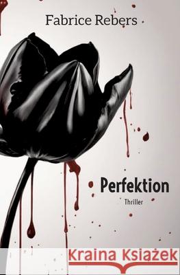 Perfektion Fabrice Rebers 9783384035998