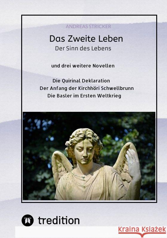 Das Zweite Leben: Der Sinn des Lebens Andreas Stricker 9783384101099