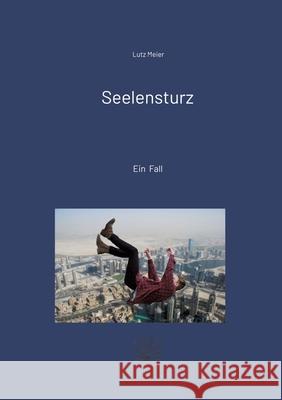 Seelensturz Meier, Lutz 9783384111692