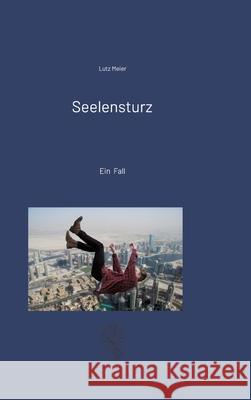 Seelensturz Meier, Lutz 9783384111708