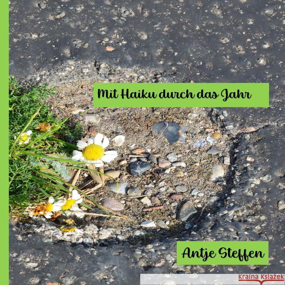 Mit Haiku durch das Jahr Antje Steffen 9783384123244