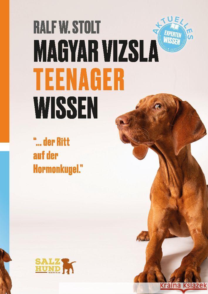Magyar Vizsla TEENAGER Wissen Stolt, Ralf W. 9783384134745 SalzHund Medien