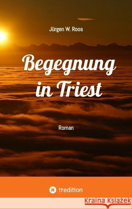 Begegnung in Triest - Ein spannender Politthriller Roos, Jürgen W. 9783384181237