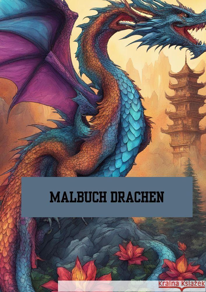 Bilderbuch / Malbuch Drachen Meinecke, Willi 9783384186966 tredition