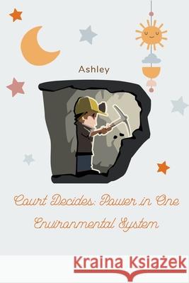 Court Decides: Power in One Environmental System Ashley 9783384221032