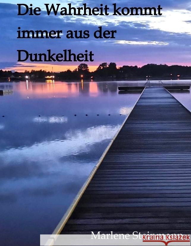 Die Wahrheit kommt immer aus der Dunkelheit Steinmann, Marlene 9783384237941