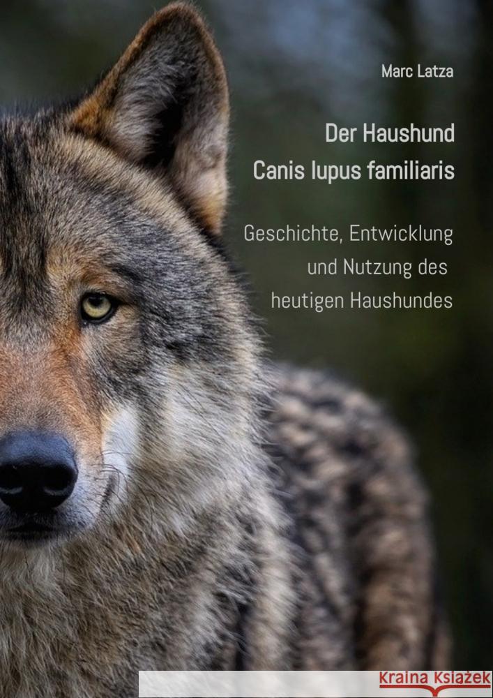 Der Haushund - Canis lupus familiaris Latza, Marc 9783384291158