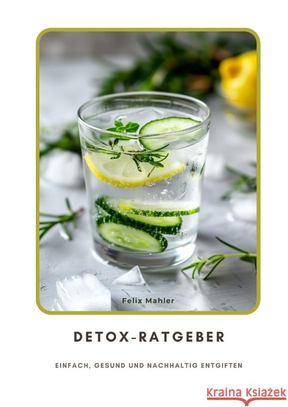 Detox-Ratgeber Mahler, Felix 9783384353252