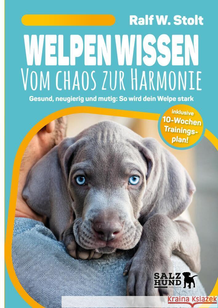 Welpen Wissen - Vom Chaos zur Harmonie Stolt, Ralf W. 9783384355461 SalzHund Medien