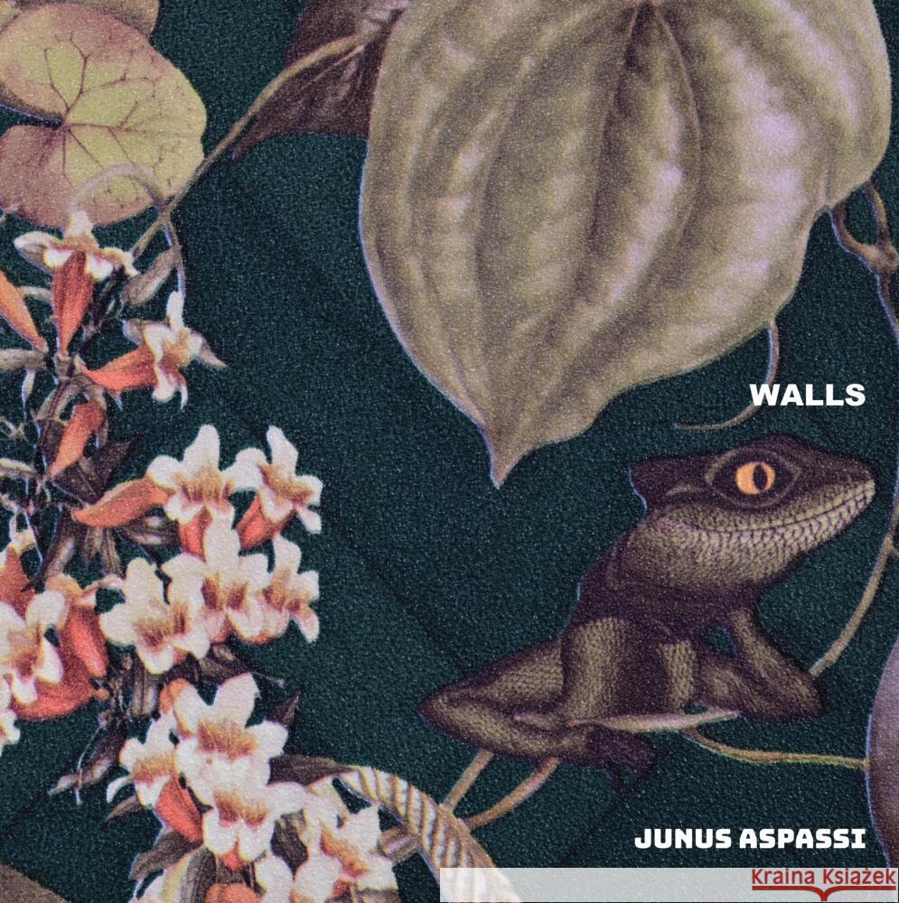 Walls Aspassi, Junus 9783384407139