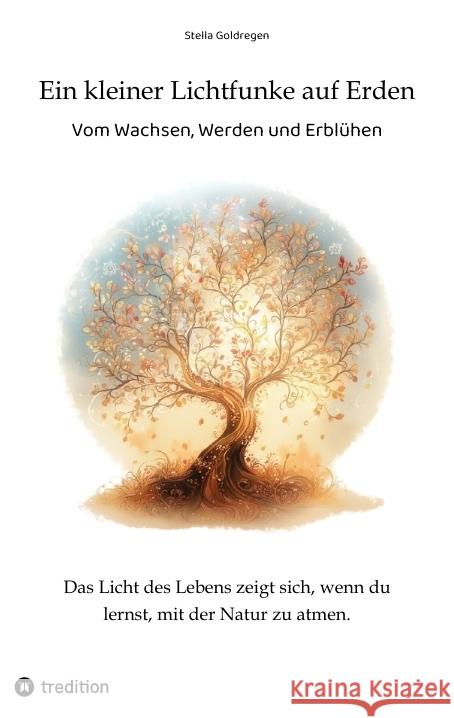 Ein kleiner Lichtfunke auf Erden Goldregen, Stella 9783384433824 tredition