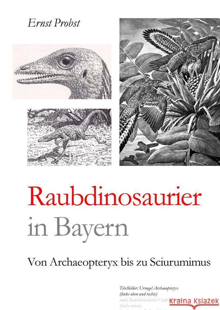 Raubdinosaurier in Bayern Probst, Ernst 9783384434074 tredition