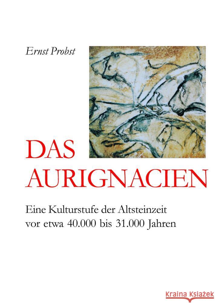 Das Aurignacien Probst, Ernst 9783384456311 tredition