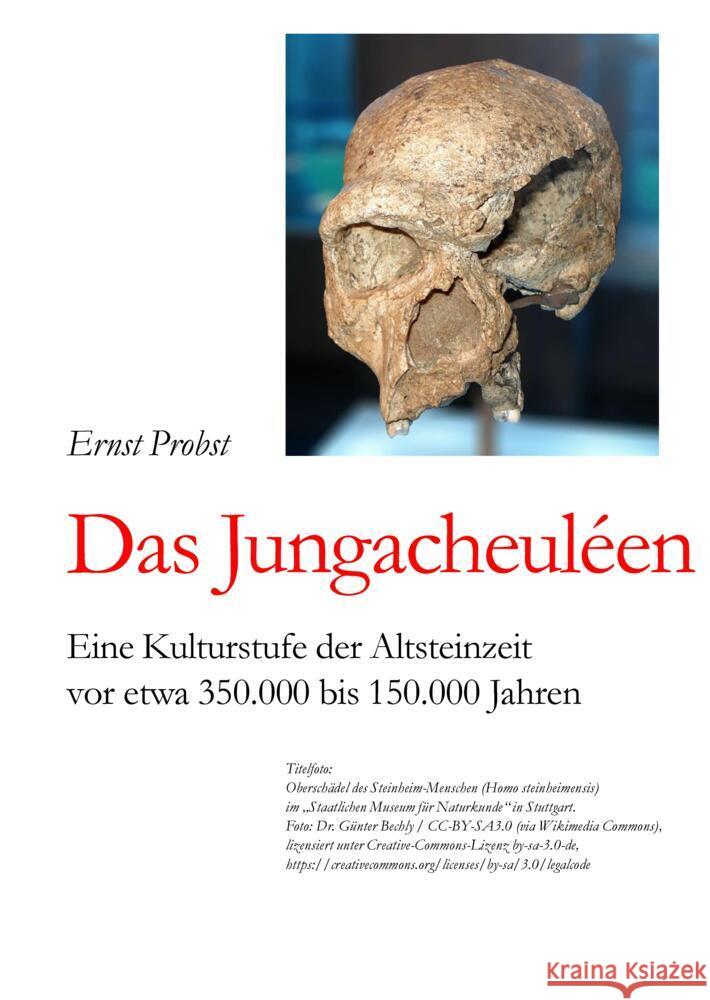 Das Jungacheuléen Probst, Ernst 9783384464217 tredition