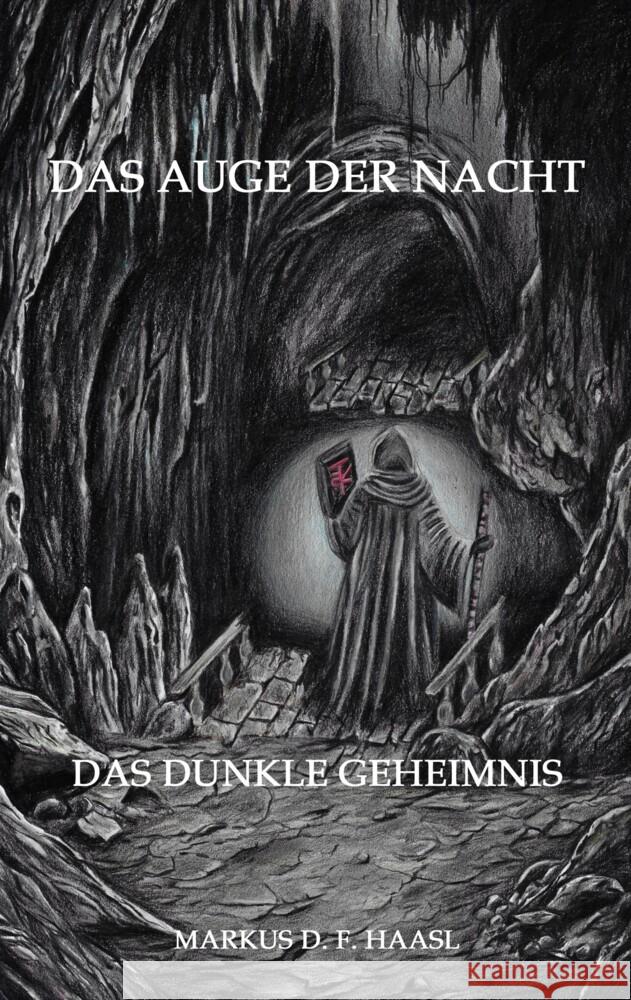 Das Auge der Nacht Haasl, Markus D. F. 9783384468369 tredition