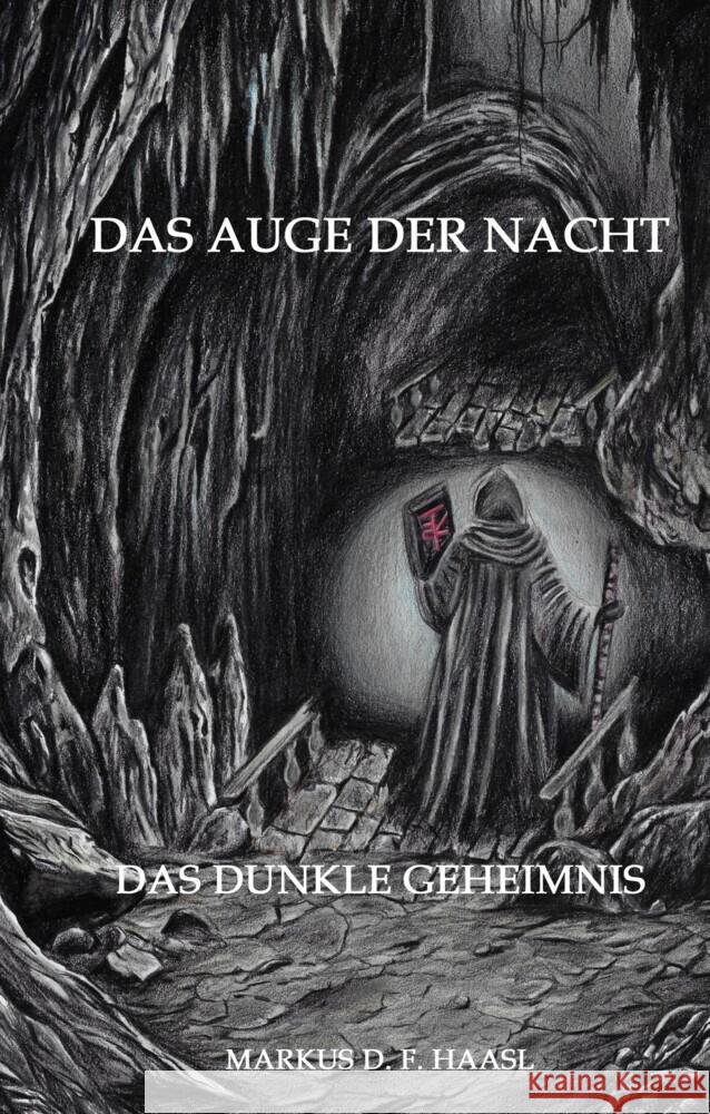 Das Auge der Nacht Haasl, Markus D. F. 9783384468376 tredition