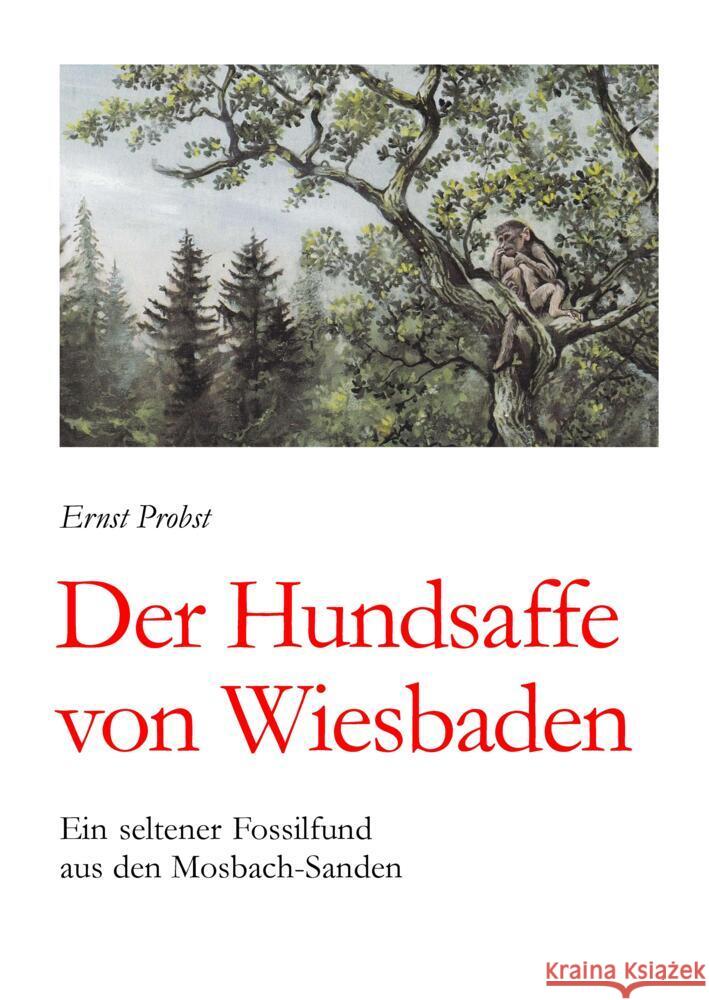 Der Hundsaffe von Wiesbaden Probst, Ernst 9783384482884 tredition