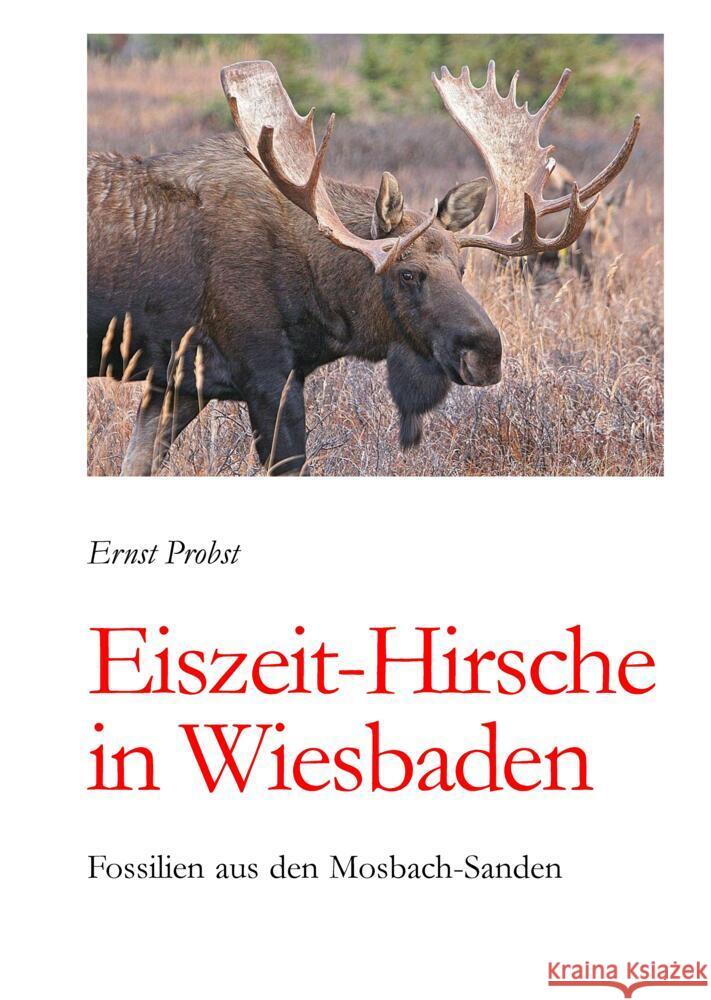Eiszeit-Hirsche in Wiesbaden Probst, Ernst 9783384483546 tredition