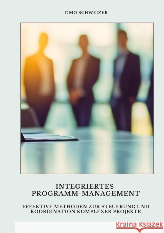 Integriertes  Programm-Management Schweizer, Timo 9783384496706