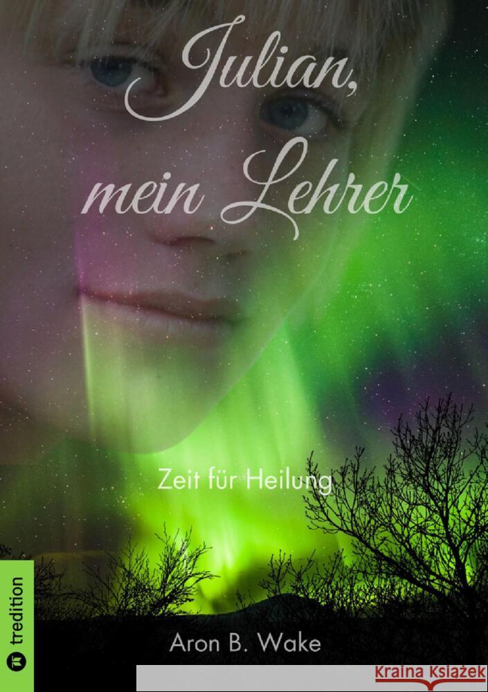 Julian, mein Lehrer Wake, Aron B. 9783384507303 tredition