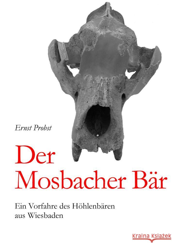 Der Mosbacher Bär Probst, Ernst 9783384531063 tredition
