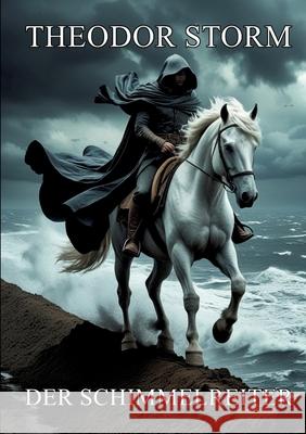 Der Schimmelreiter Storm, Theodor 9783384536006 tredition