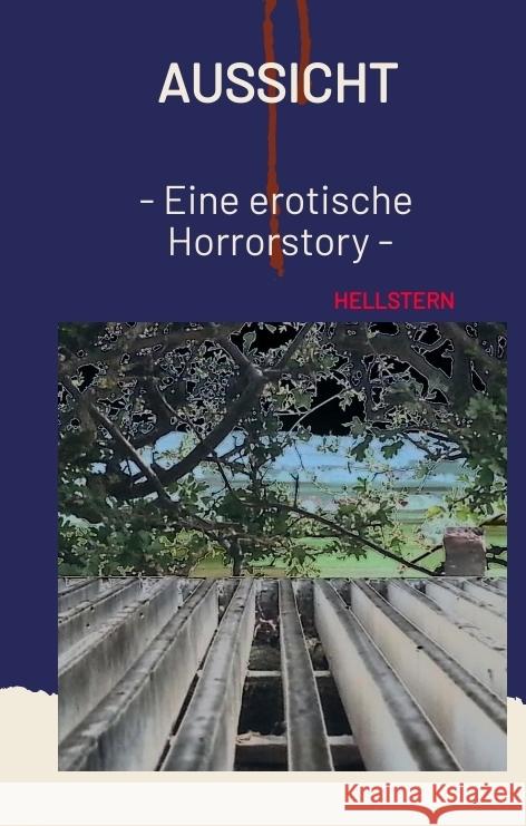 Aussicht Hofnarr des Lichts, Hellstern 9783384582584 tredition