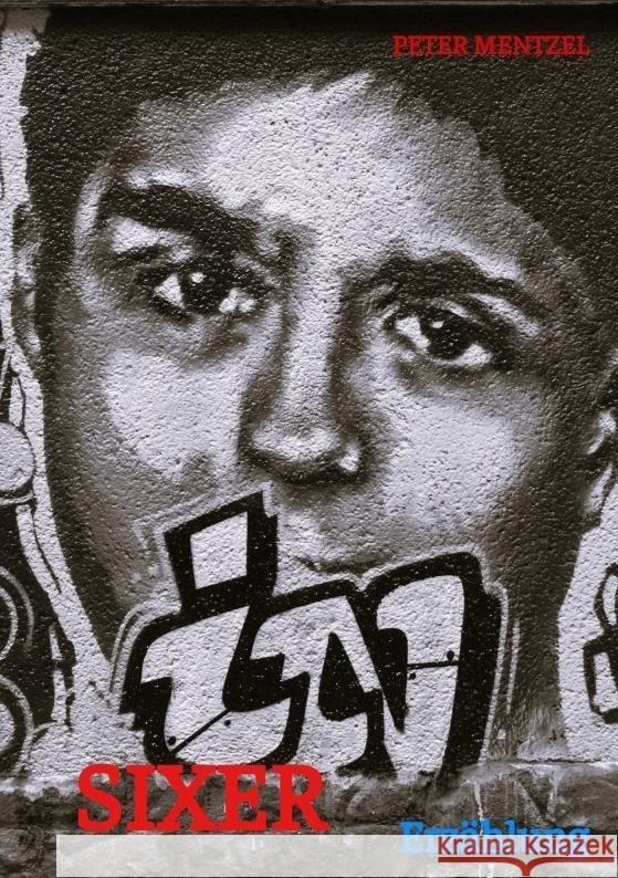 SIXER Mentzel, Peter 9783384671165