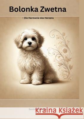 Bolonka Zwetna Schmidt, Sandra 9783384744791 Serafino Oase