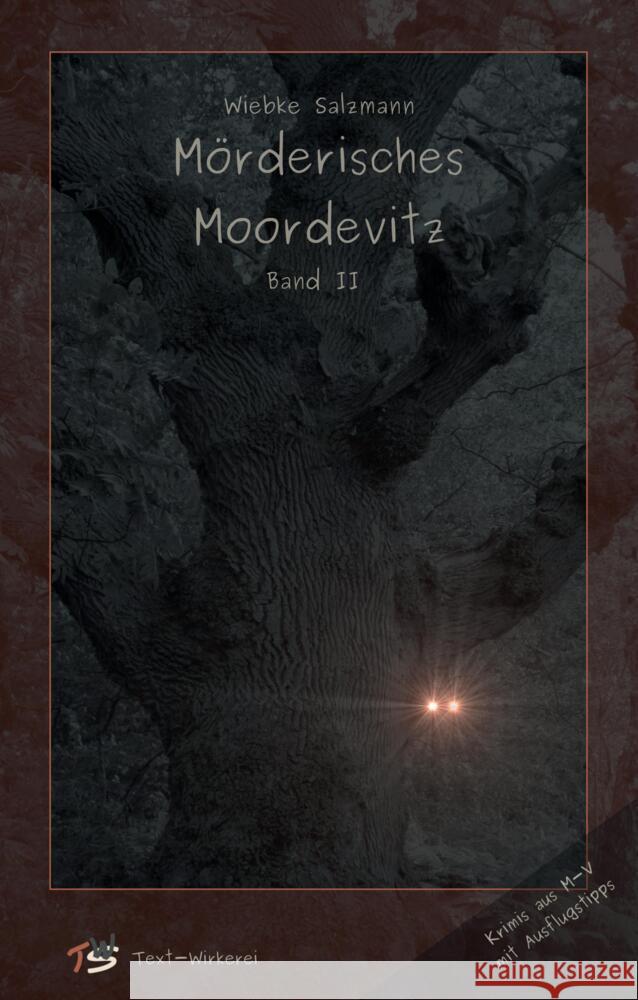 Mörderisches Moordevitz II Salzmann, Wiebke 9783384759375