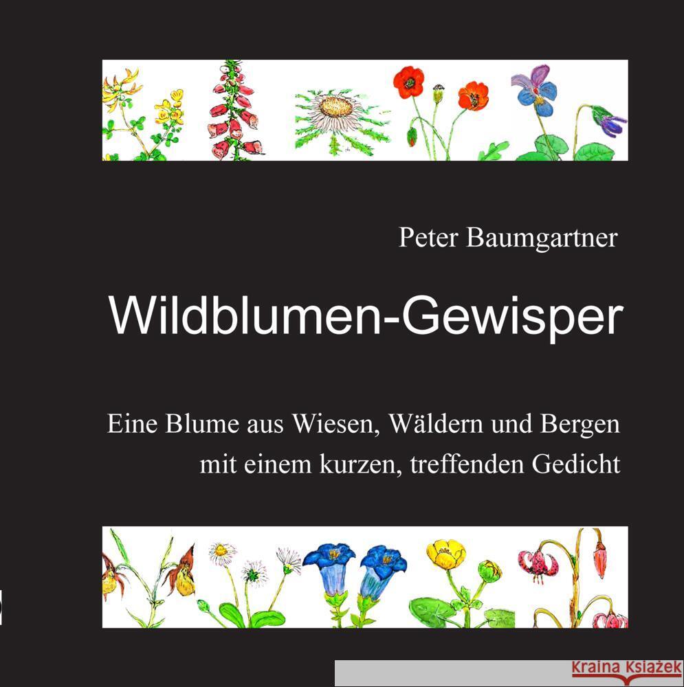 Wildblumen-Gewisper Baumgartner, Peter 9783384784629